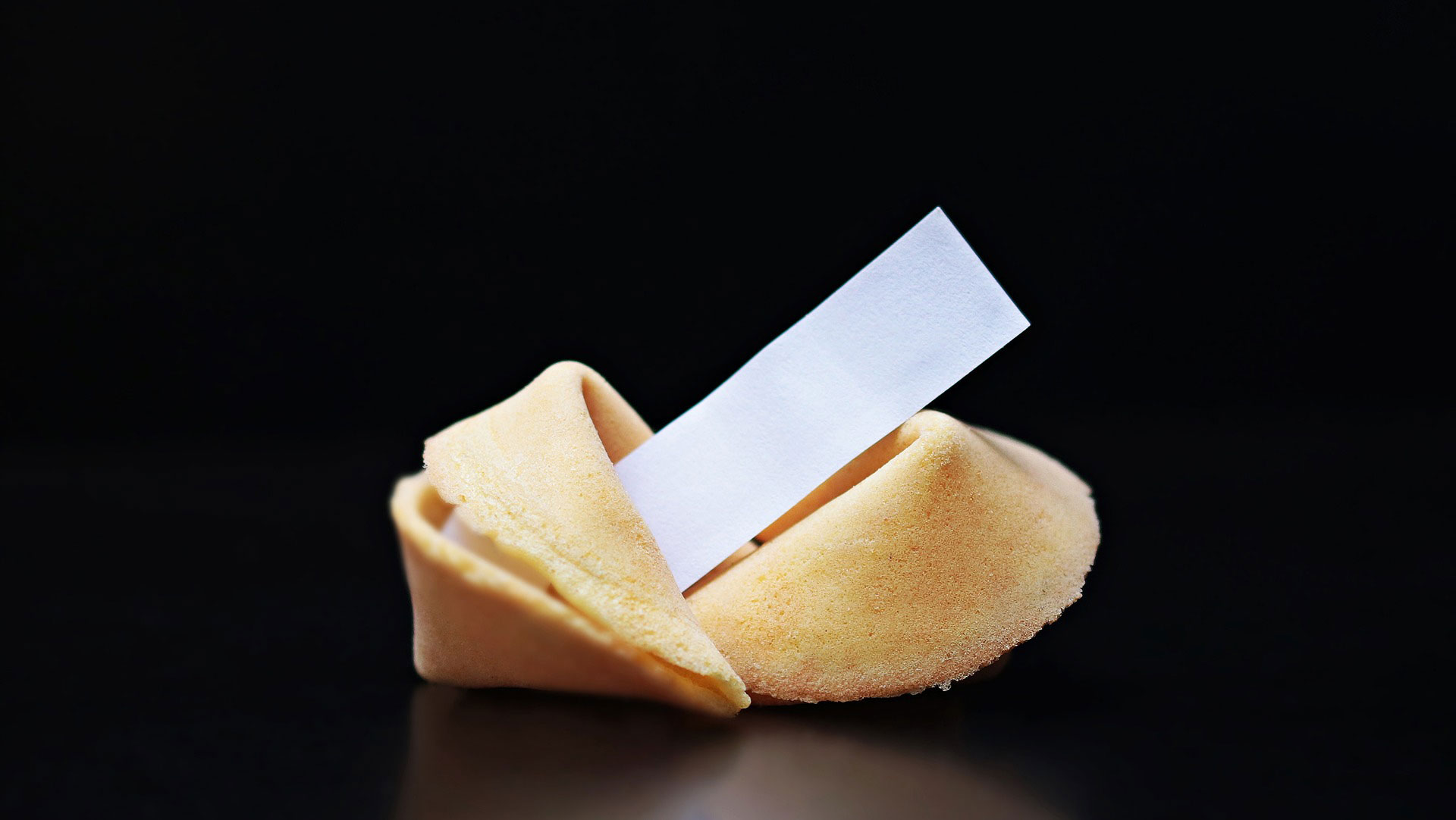 fortune cookie